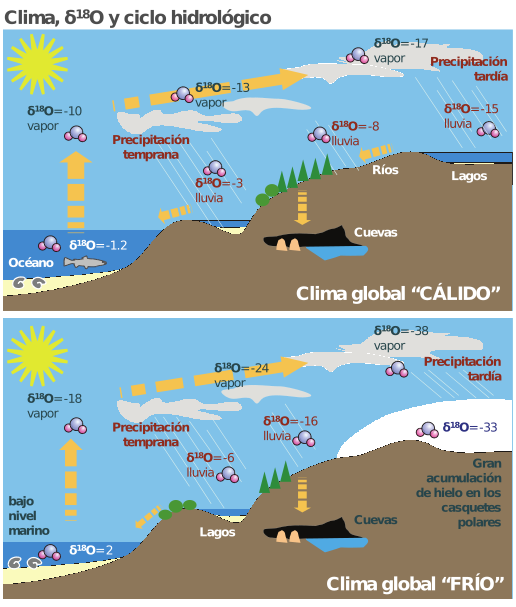 Valores típicos del δ18O del agua (en forma de vapor, agua líquida o hielo) a lo largo del ciclo hidrológico en dos contextos climáticos diferentes: Arriba: Clima global cálido, sin casquetes polares, nivel del mar elevado. Abajo: Clima frío con desarrollo estimable de casquetes polares y el consiguiente descenso del nivel del mar. En este segundo caso, el nivel del mar queda enriquecido en δ18O, al existir en el sistema un gran reservorio de agua (hielo) isotópicamente muy ligera