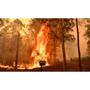 Mega Incendio