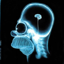 Muestra Imagen HOMER RX