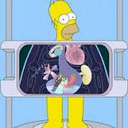 Muestra Imagen HOMER RX