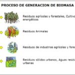 Proceso de generación de Biomasa