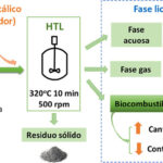 nuevo-biocombustible-con-microalgas_image_380