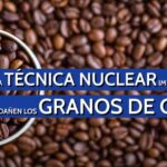 Técnica Nuclear impide insectos dañe el café