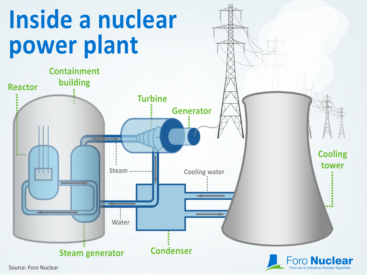 forbruge kommentar Bore Infographic: Inside a nuclear power plant - Rincón educativo