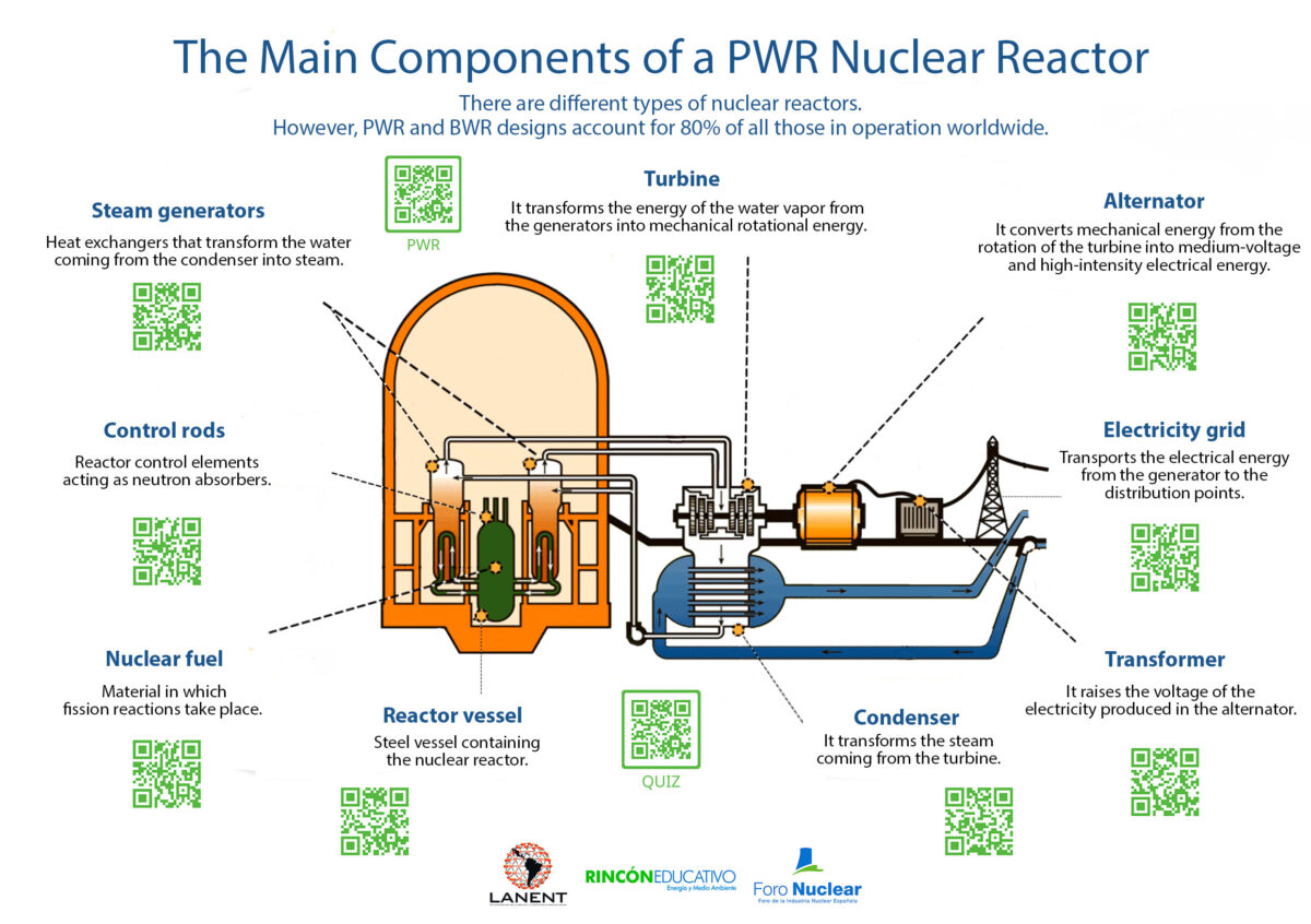 Interactive Sheet: The Main Components of a PWR Nuclear Reactor