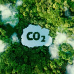 Economía y cambio climático