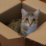 Erwin Schrödinger